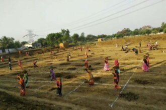 Chhattisgarh tops MNREGA job giving 100 days of employment to cordhari families