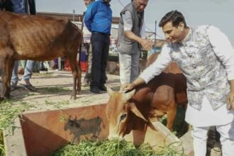 CM launches Godan Nyaya Yojana: MLA Devendra expresses heartfelt gratitude