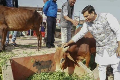CM launches Godan Nyaya Yojana: MLA Devendra expresses heartfelt gratitude