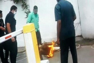 Dhamtari Collector gave instructions for magisterial inquiry