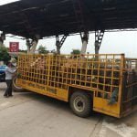 Pledge letter filled with 513 animal owners under the Stop-Chhaka Resolution Campaign: Stray animals are being caught