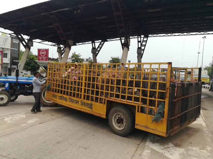 Pledge letter filled with 513 animal owners under the Stop-Chhaka Resolution Campaign: Stray animals are being caught