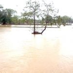 Monsoon active: continuous rains for the last 24 hours, water filled in field barns