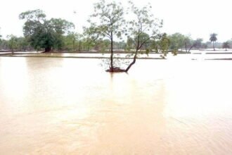 Monsoon active: continuous rains for the last 24 hours, water filled in field barns