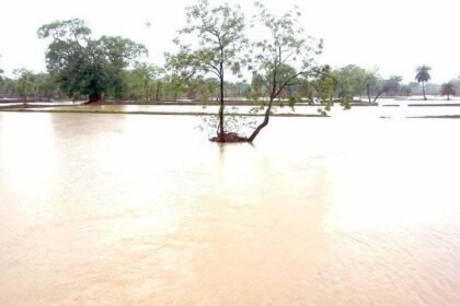 Monsoon active: continuous rains for the last 24 hours, water filled in field barns