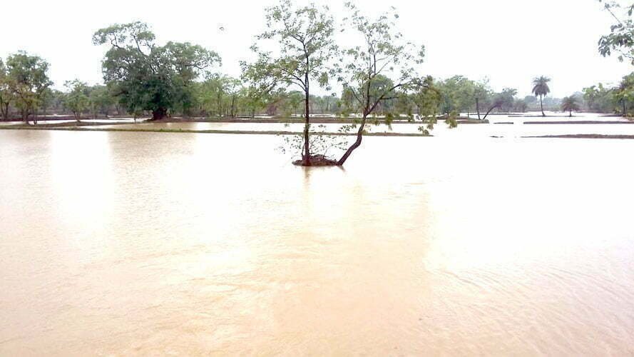 Monsoon active: continuous rains for the last 24 hours, water filled in field barns