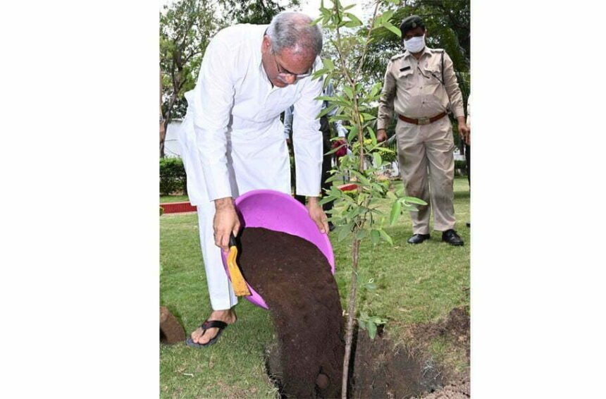 World Environment Day: Chief Minister Bhupesh Baghel planted guava, mango and sowing plants in his residence premises