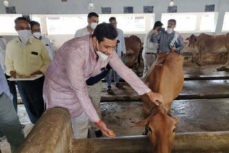 Devendra Yadav arrives in Chhattisgarh Kamdhenu University: information about academic research and activities