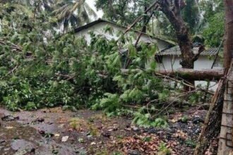 महाराष्ट्र के रायगढ़ में तूफान निसर्ग का लैंडफॉल, तेज हवाओं के साथ भारी बारिश जारी