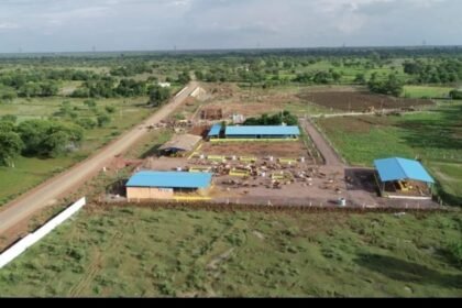 Godhan Nyaya Yojana will be started from 30 Gram Panchayats