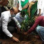 One Home, One Tree Campaign Unprecedented Enthusiasm, Plants Planted in Every Home