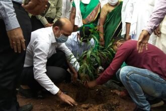 One Home, One Tree Campaign Unprecedented Enthusiasm, Plants Planted in Every Home