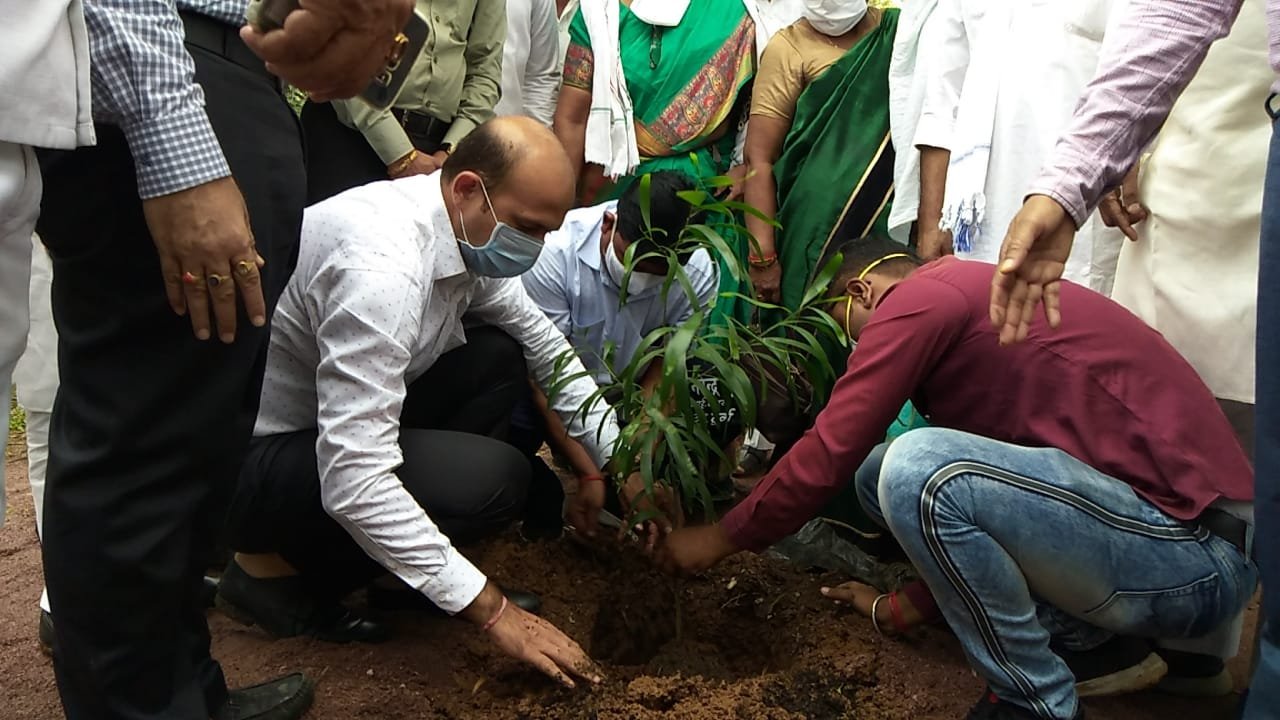 One Home, One Tree Campaign Unprecedented Enthusiasm, Plants Planted in Every Home