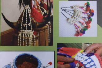 New initiative of the government: skill of Kauri craftsmen will get new dimension