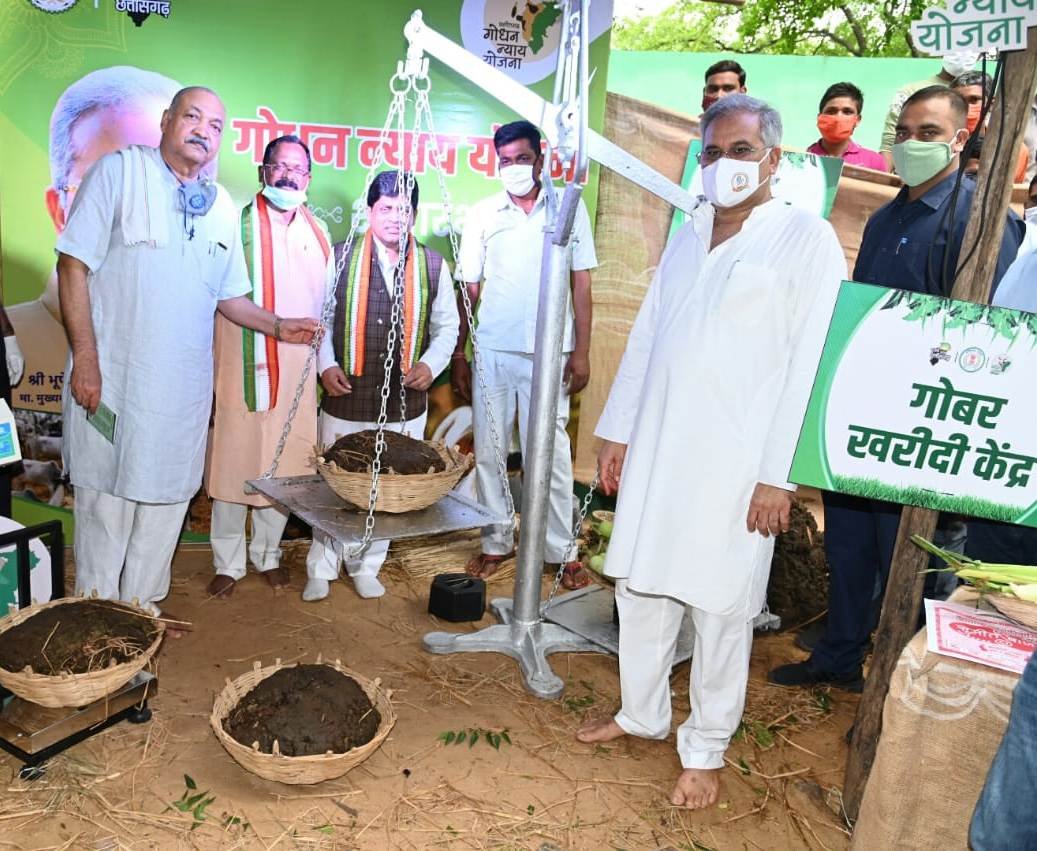 Godhan Nyay Yojana starts today: Chief Minister Bhupesh Baghel launched the scheme by purchasing cow dung