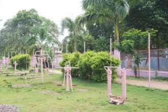 Pink garden being prepared for women