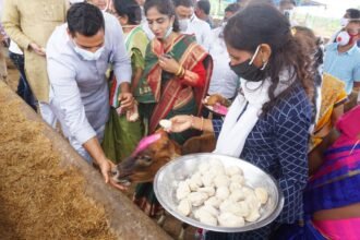 Godhan Nyaya Yojana: Mayor Devendra Yadav blessed cow with flour made of flour, best wishes for Hareli festival