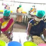 Bastar's delicious cashew increases the income in Corona crisis