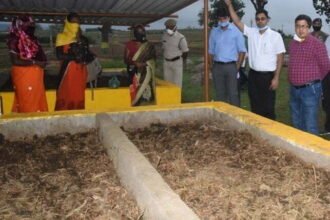 The smell of pine apple and lemon of Thailand will spread in Keshavpur