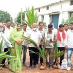 State Congress General Secretary Jitendra Sahu distributed coconut plants and pigeonpea seeds