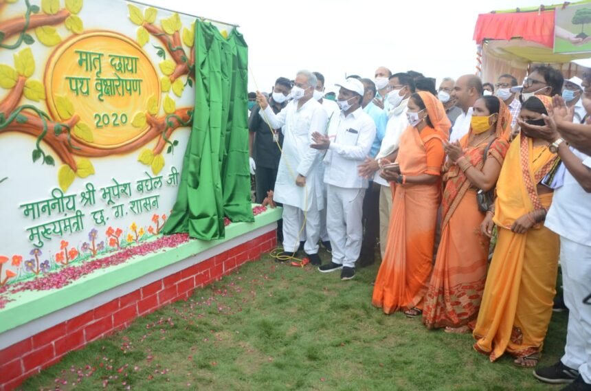Mother Chhaya Path Plantation: Chief Minister planted Krishna Vat and Bel