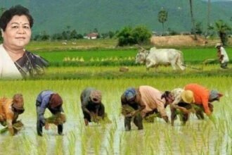 राज्यपाल ने हरेली पर्व पर प्रदेशवासियों को दी शुभकामनाएं