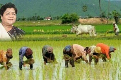 राज्यपाल ने हरेली पर्व पर प्रदेशवासियों को दी शुभकामनाएं