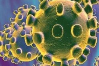 कोरोना को मात देता छत्तीसगढ़… दो माह बाद 5 हजार से कम मिले नए केस…. मौतों के आंकड़े भी हुए कम… सक्रिय मरीजों की संख्या भी घटी