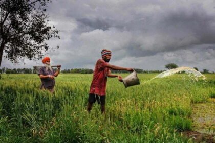 2024 तक दोगुनी हो जाएगी किसानों की आय? सरकार कर रही हर संभव प्रयास