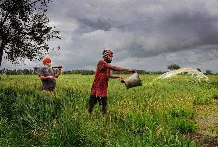 2024 तक दोगुनी हो जाएगी किसानों की आय? सरकार कर रही हर संभव प्रयास