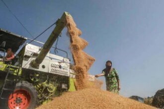 खुशखबर: किसानों के लिए खुला निजी कंपनियों से करार का रास्ता, मंडियों से बाहर बेच सकेंगे उत्पाद