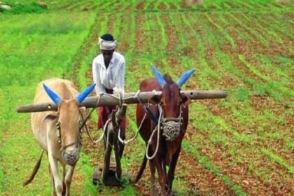 खेती के साथ अपना व्यापार भी कर सकेंगे देश के किसान, बनेंगे 10 हजार किसान उत्पादक संगठन