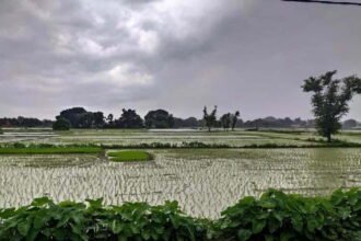 मुंबई में हाईटाइड, पटना सहित बिहार के कई शहरों में बारिश, दिन में छाया अंधेरा