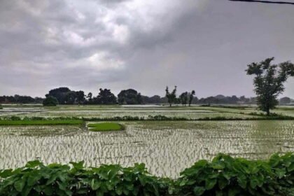 मुंबई में हाईटाइड, पटना सहित बिहार के कई शहरों में बारिश, दिन में छाया अंधेरा