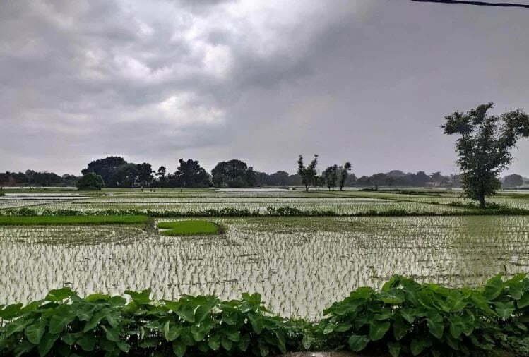 मुंबई में हाईटाइड, पटना सहित बिहार के कई शहरों में बारिश, दिन में छाया अंधेरा