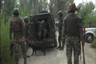 श्रीनगर के बाहरी इलाके में सुरक्षा बलों के साथ मुठभेड़ में दो आतंकी ढेर