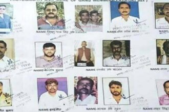 विकास दुबे गैंग के 15 अपराधियों की फोटो जारी, ADG बोले- जब तक पकड़ नहीं लेते तब तक शांत नहीं बैठेंगे