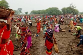 मनरेगा श्रमिकों के कौशल उन्नयन के लिए समय-सीमा में प्रशिक्षण पूर्ण करने के निर्देश…. सभी जिला पंचायतों के मुख्य कार्यपालन अधिकारी को परिपत्र जारी