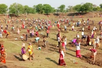 मनरेगा में होगी 11 नए लोकपालों की भर्ती, 22 अप्रैल तक कर सकते हैं आवेदन