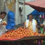 टमाटर हुआ लाल, 80 रुपये प्रति किलो तक पहुंचा दाम