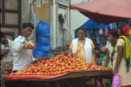टमाटर हुआ लाल, 80 रुपये प्रति किलो तक पहुंचा दाम