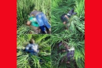 BSF seizes five intruders entering Indian border