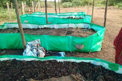 Previously, cow dung was thrown in the drain or on the roadside