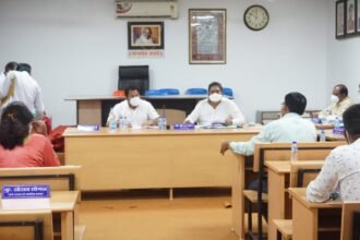 mayor's council for permission to set up STP