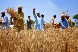 Relief to the farmers of the state: For the purchase of paddy and maize, the farmers registered in the Kharif year 2019-20 will be considered for the year 2020-21…. State government issued guidelines