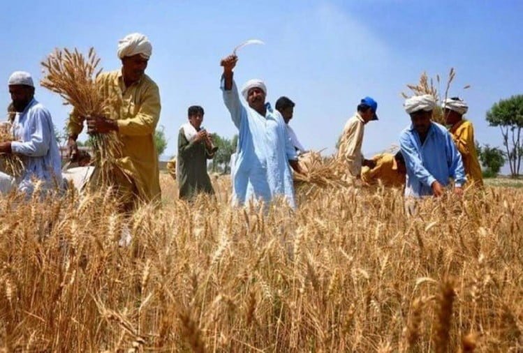 Relief to the farmers of the state: For the purchase of paddy and maize, the farmers registered in the Kharif year 2019-20 will be considered for the year 2020-21…. State government issued guidelines