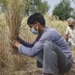 किसानों को फसल के नुकसान की भरपाई के लिए गुजरात सरकार ने शुरू की नई योजना