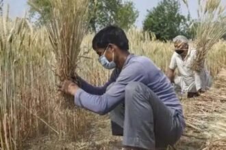किसानों को फसल के नुकसान की भरपाई के लिए गुजरात सरकार ने शुरू की नई योजना