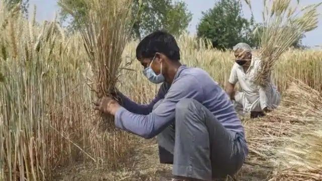 किसानों को फसल के नुकसान की भरपाई के लिए गुजरात सरकार ने शुरू की नई योजना