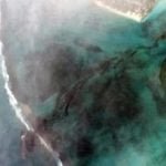 मॉरीशस तेल रिसाव: मदद को आगे आया भारत, वायुसेना के जरिए भेजी तकनीकी सहायता